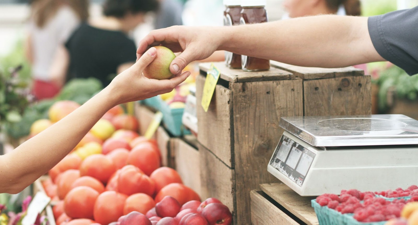 Grocery clerk hands an apple to a person. Display is abundantly overflowing with fresh produce. How can a software company possibly address every facet of every retail operation?